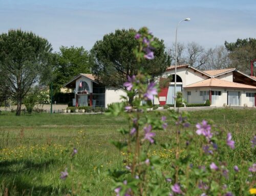 Bas-Mauco :« Le Bois de Cantemerle »