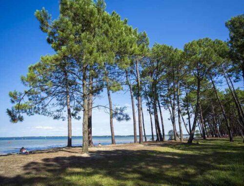 Parentis :« Les Jardins du Grand Cuzac »